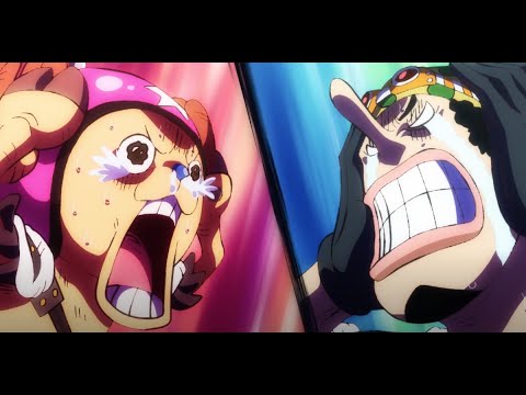 One Piece Wiki Anime Amino One Piece Wiki Anime Amino