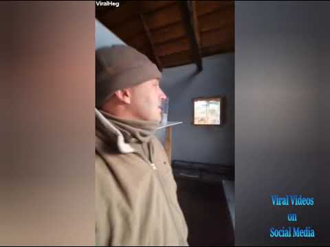A Man's Close Encounter With Lion Growling Through Kitchen Window