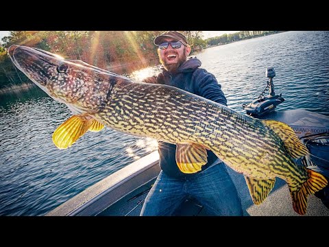Angler fängt Urzeit-Hecht !