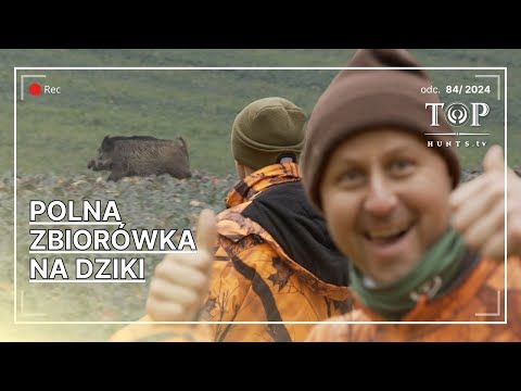 Polowanie zbiorowe na dziki i jelenie w obwodzie polnym. Wild boar driven hunt.