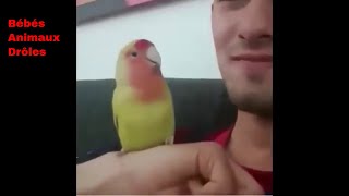 Miniature vidéo