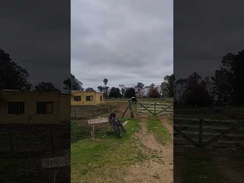 Establecimiento Rural La Convivencia en el Partido de San Vicente Buenos Aires Argentina