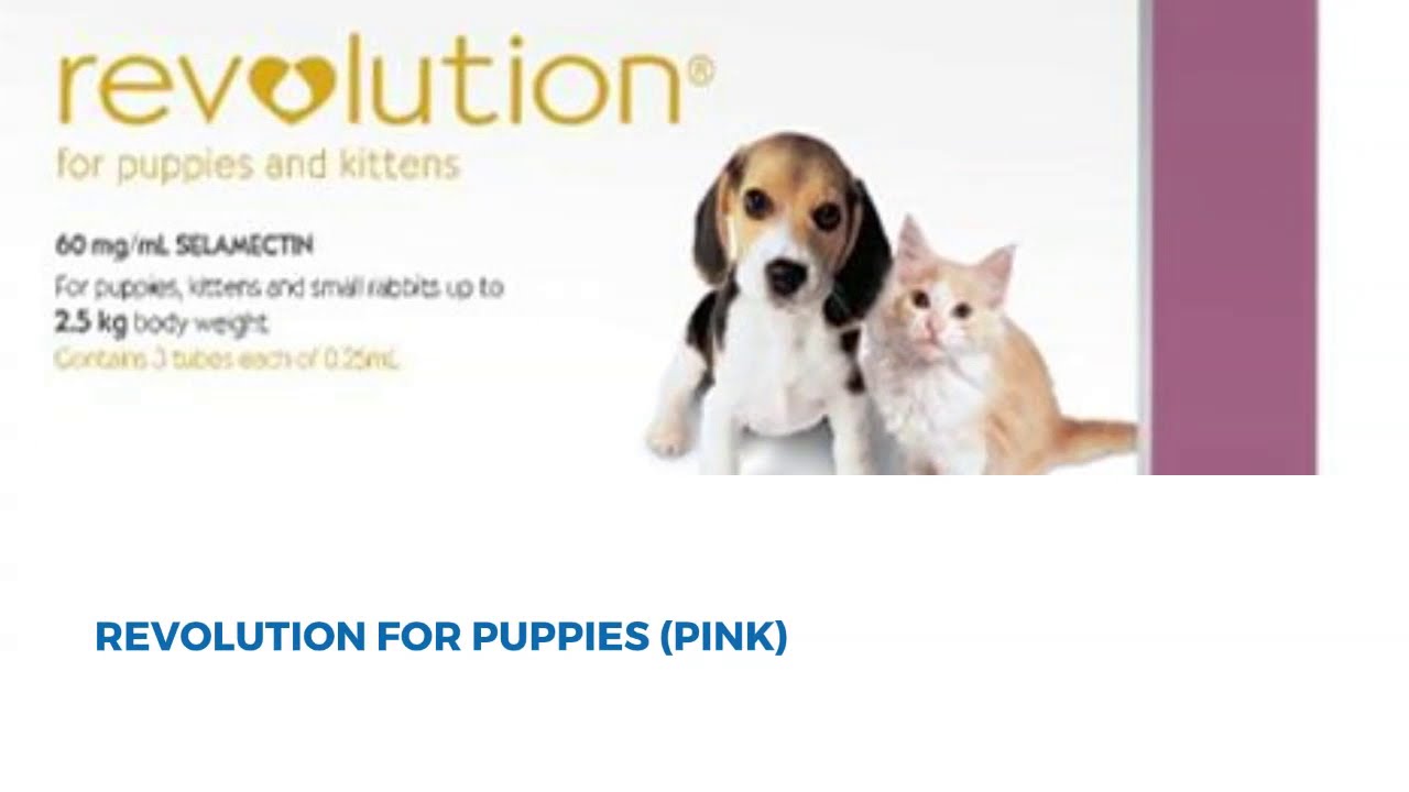 Revolution - Flea and Heartworm Treatment| Free Canex Tablets|Pet Care|VetSupply