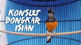 Download lagu Pancingan PAGI 100% JITU bikin GACOR dengan suara Murai Batu Isian GEREJA TARUNG CUNGKOK CILILIN mp3 Download lagu Pancingan PAGI 100% JITU bikin GACOR dengan suara Murai Batu Isian GEREJA TARUNG CUNGKOK CILILIN mp3