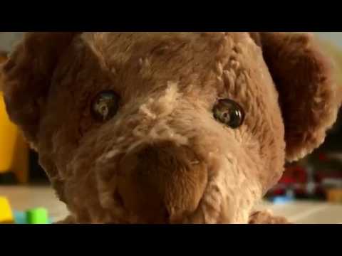 Purina Friskies junior  Cat kitten