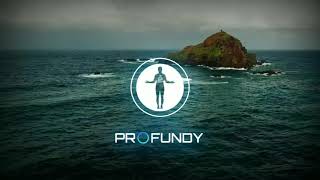 RÜFÜS DU SOL - Innerbloom (Vintage Culture &amp; Zerky Remix)