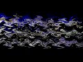 THE SHOCKNESS OF KLASKY CSUPO IN SONY MAJOR POWERS NINEPARISON