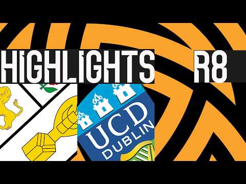 bg-highlight