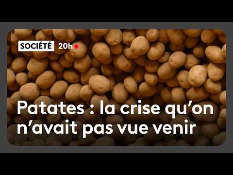 Does video surveillance really reduce crime?