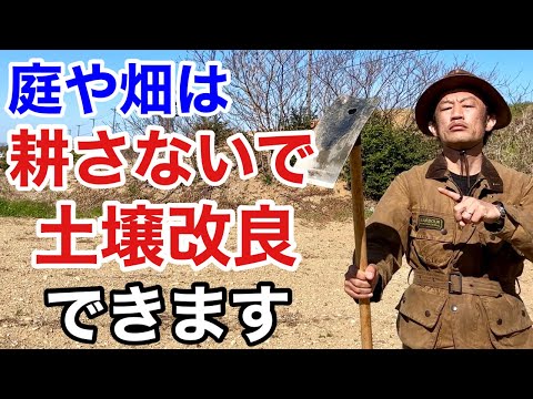 庭のメンテナンス – 庭の土壌を改善する自然な方法  庭園