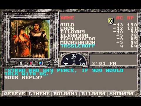 Let's Play "Dark Queen of Krynn" Part 18 - Spiteful Elf Queen