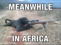 African Rape Dance Part 1