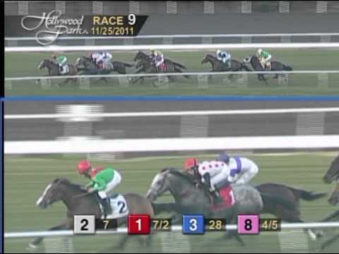 The 30th Running of The Matriarch (GI) - $250,000 Guaranteed