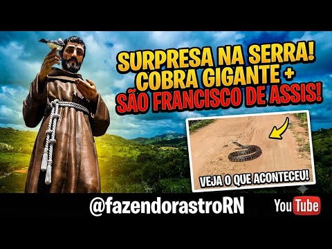 😱 COBRA GIGANTE NA SERRA! + SÃO FRANCISCO DE ASSIS! VEJA O QUE ACONTECEU! 🐍