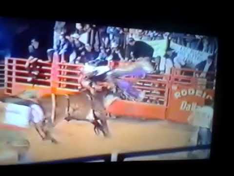 Rodeio cruz vera ano 2000