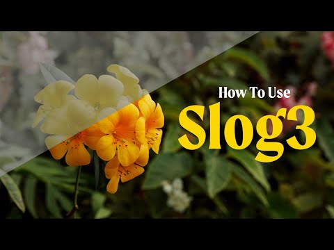 How To Shoot & Edit Slog 3 Footage