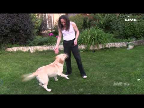 So Are 2 soba MP4 Home live ars