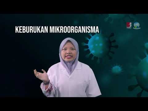 , title : 'JREC Sains Tahun 6 - Mikroorganisma'