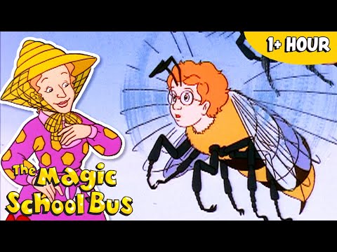 All About Insects | Full Episodes | The Magic School Bus
