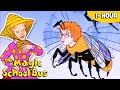 All About Insects Full Episodes The Magic School Bus