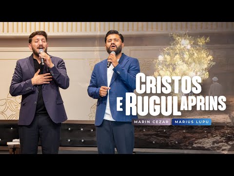 Marius Lupu and Cezar Marin