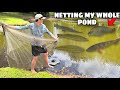 NETTING RELEASED PET FISH In My BACKYARD POND!