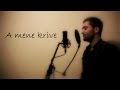 Momir Bogdanovic - Tebi se dive [cover] Lyrics video ...