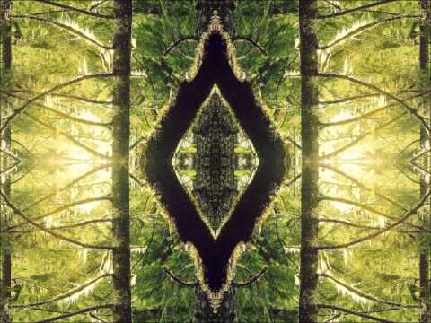 Syb Unity Nettwerk - Source Of Life