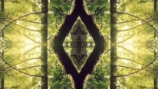 Syb Unity Nettwerk - Source Of Life