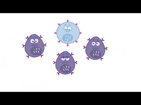 CAR T-cell Therapy for Multiple Myeloma