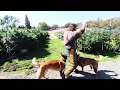 Bud Thief