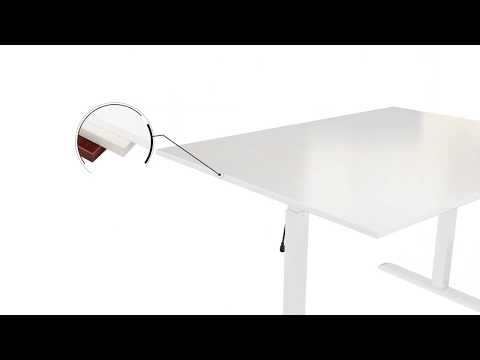 TVS03-22D True Vision Motion Desk (Sit-Stand Desk)