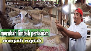 Download lagu Merubah limbah pertanian menjadi rupiah mp3 Download lagu Merubah limbah pertanian menjadi rupiah mp3
