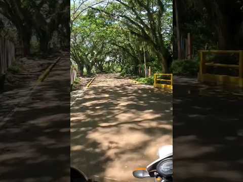 ENTRADA A PORTUGAL DE PIEDRAS RIOFRIO VALLE DEL CAUCA