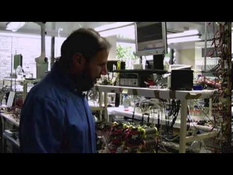 Scientists use URINE to generate power