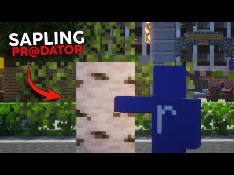 32 Year Old Tree Gets Caught Sending Root Pictures To Sapling?