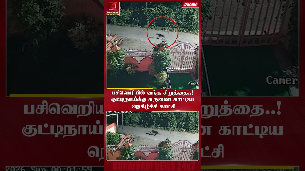 🐆பசிவெறியில் வந்த சிறுத்தை..! குட்டிநாய்க்கு கருணை காட்டிய நெகிழ்ச்சி காட்சி | #Leopard #viralvideo