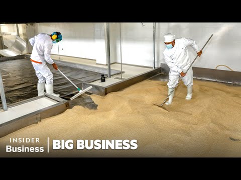 How Quinoa Became A Billion-Dollar Industry | Big Business | Business Insider