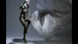 Björk - An Echo, A Stain - Music Video