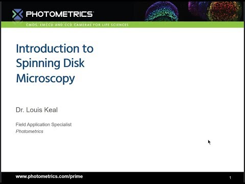 Introduction to Spinning Disk Microscopy
