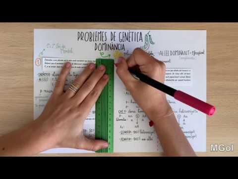 nutriție îmbunătățită a vederii