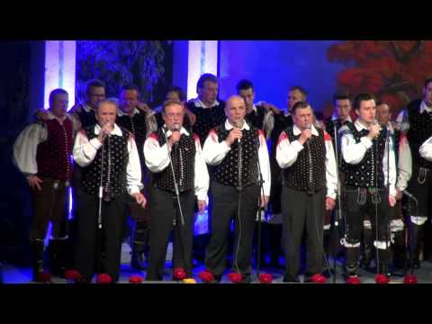 Fantje s Praprotna & Modrijani & ostali nastopajoči-V dolini tihi (v živo)