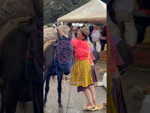 Mujeres arrieras de Tibana Boyaca 🐴👸🏻❤️ #Tibana #arrieria