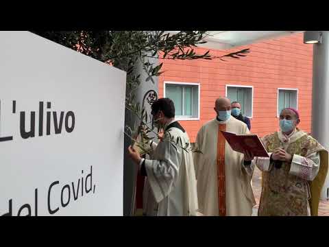 Benedetto dall’arcivescovo di Milano “l’ulivo del Covid” all’ospedale di Varese