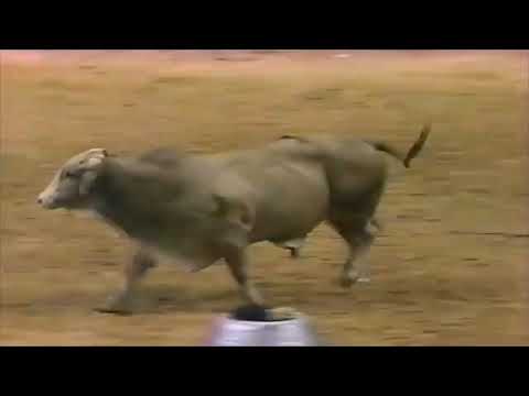 Mark Cain vs Dust Storm - 94 PBR Finals (81 pts)
