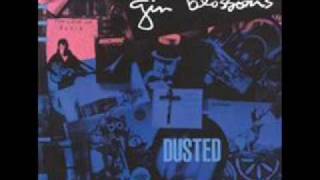 Gin Blossoms live from Chuy's-Fireworks