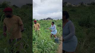 Download lagu #dj #electronicmusic #housemusic #edm #dance #edms #musicgenre mp3