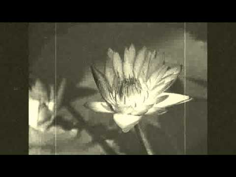 Excellos Five (1926) - Charleston