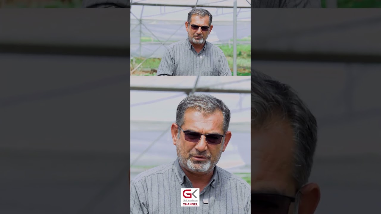ڤیدیۆ | بەرهەمی کوردی بێ دەرمانە