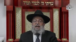 דף היומי בחצי שעה - עירובין דף ל"ח